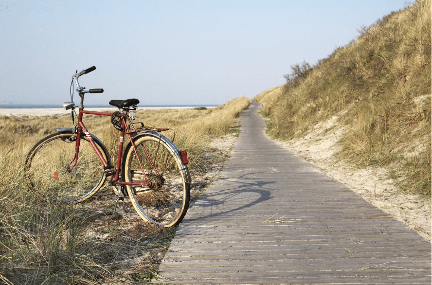 Cyclistes sur une piste du littoral vendéen
