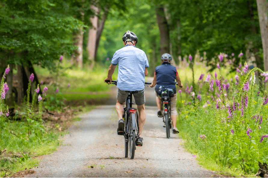 Ballade Vélo sur un sentier bordé de pins dans la forêt des Pays de Monts