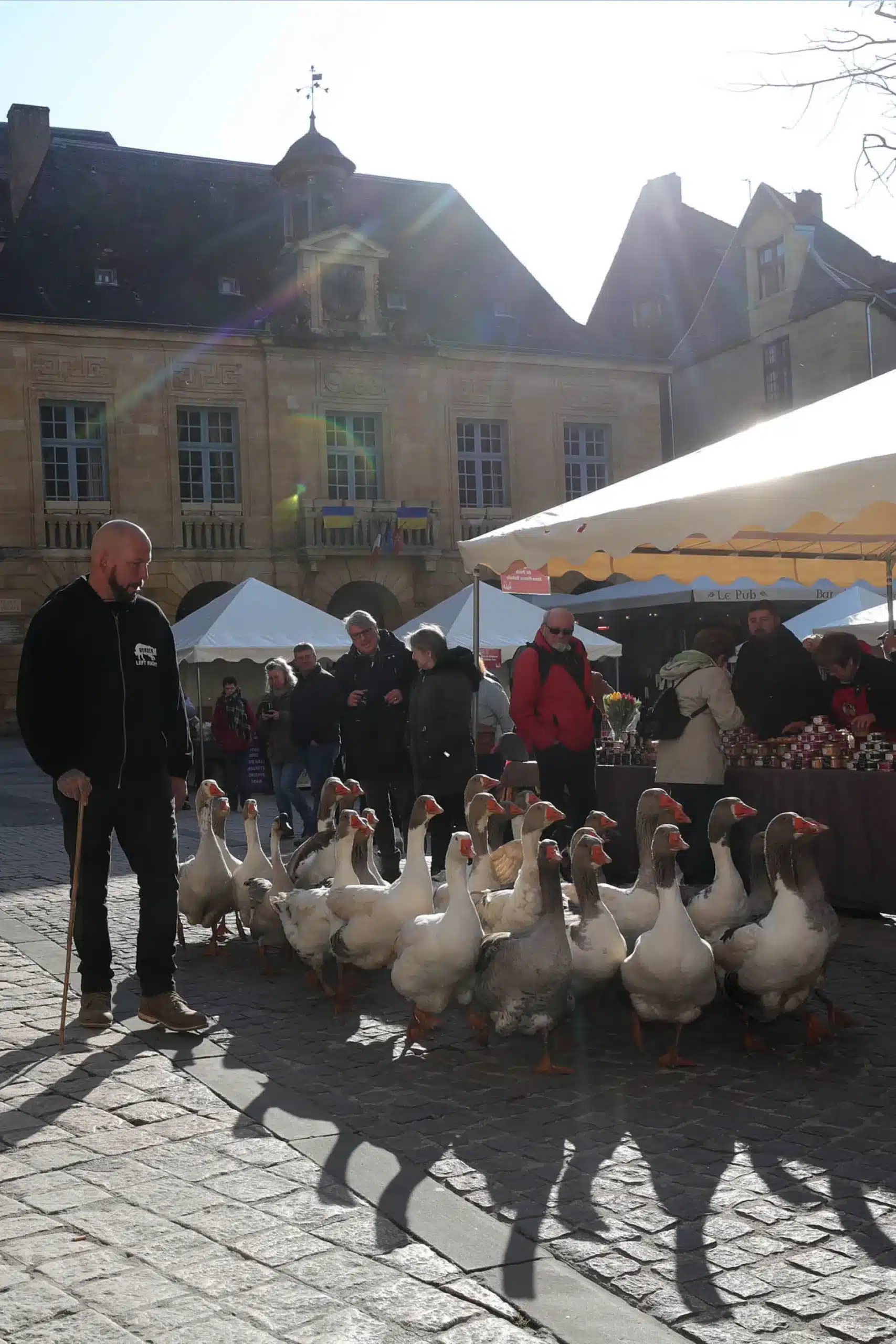 Animations de Sarlat Fest’Oie dans le centre-ville de Sarlat