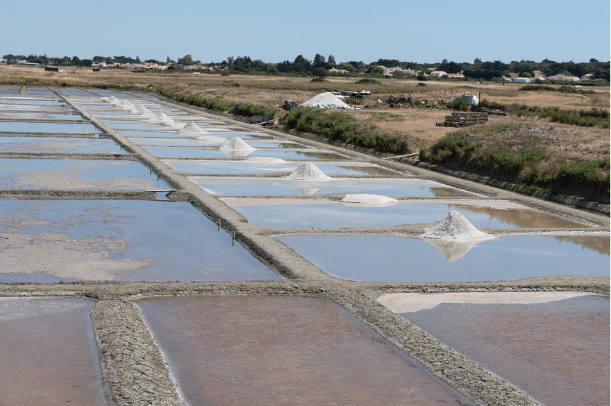 Randonnée dans les marais salant de Saint-Hilaire-de-Riez / La Grande Dune, Vacances ULVF