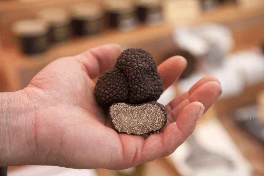 Marché aux truffes dans le Lot