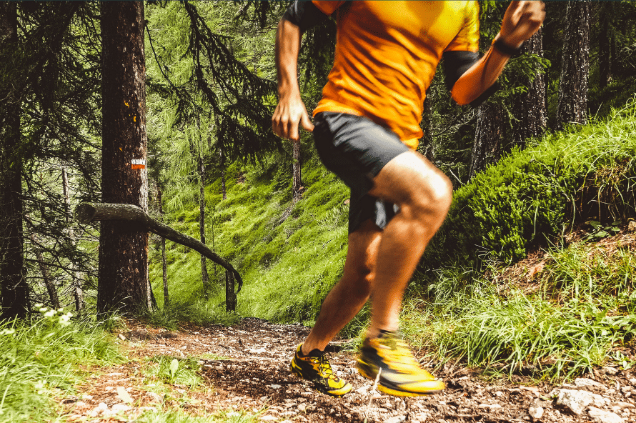 Patou Trail autour de Saint-Lary et de Vignec