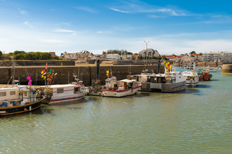 Bateaux amarrés dans le port de pêche de Saint-Gilles-Croix-de-Vie